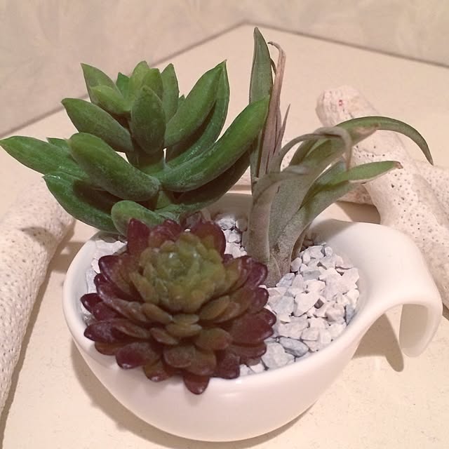 TNPnaOUCHIさんの実例写真