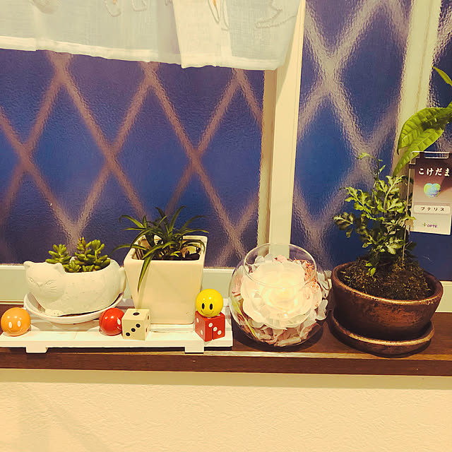 moyuhiさんの実例写真