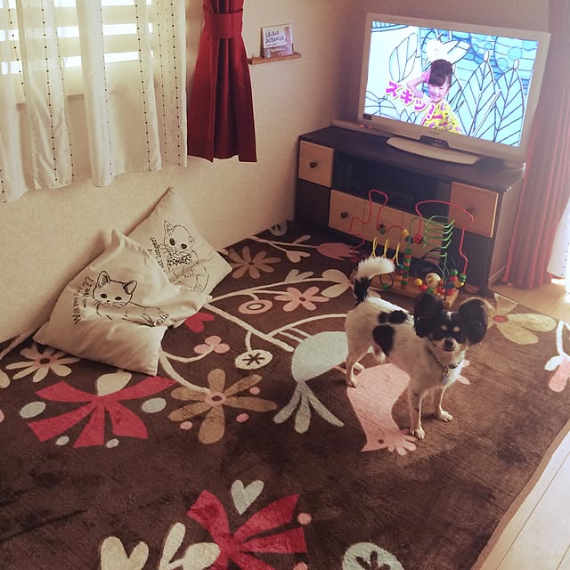 Mayさんの実例写真