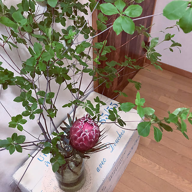 emiさんの実例写真