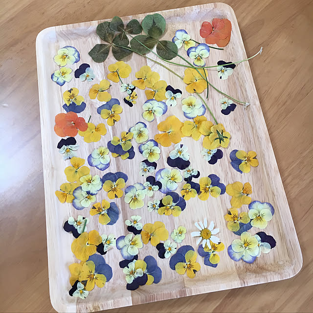 nanachanmamaさんの実例写真