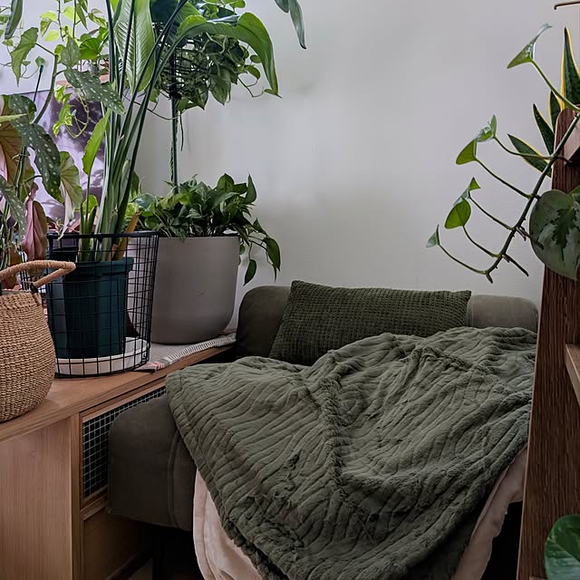 ayamameさんの実例写真