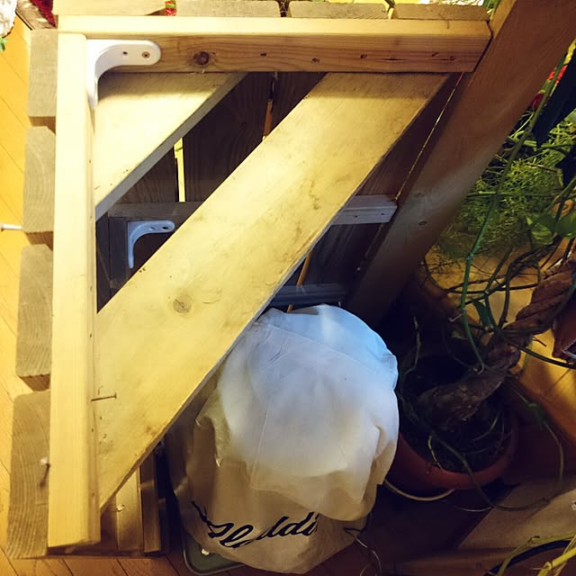 asaさんの実例写真