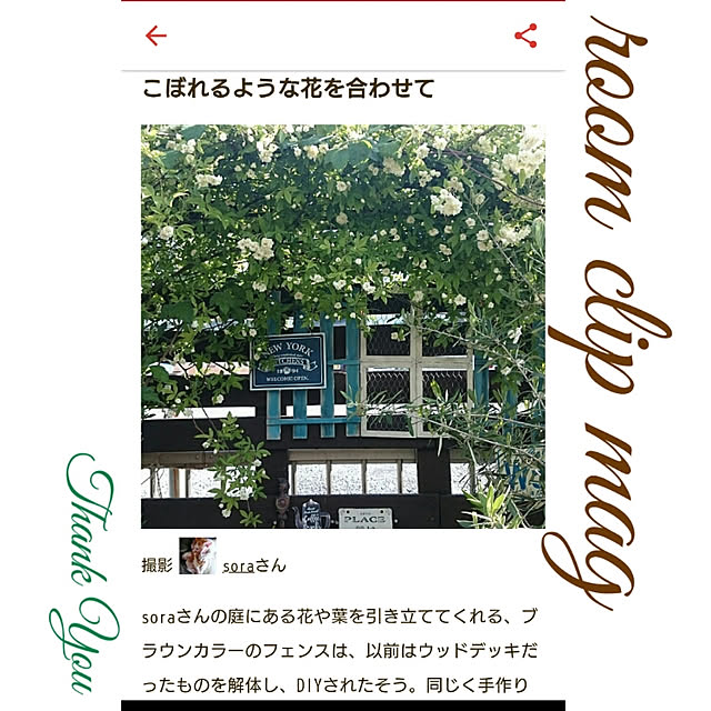soraさんの実例写真