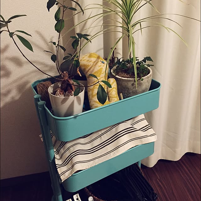 oscalさんの実例写真