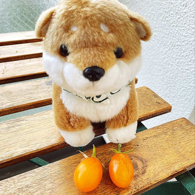 aureaさんの実例写真