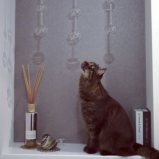 theo_nazcaさんの実例写真