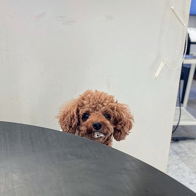 MOMOMAMAさんの実例写真