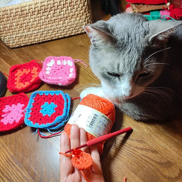 Yoko622さんの実例写真