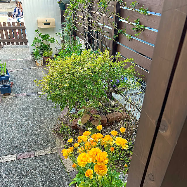 hinamamaさんの部屋