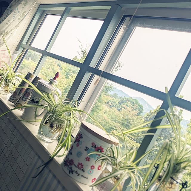 prepreさんの部屋