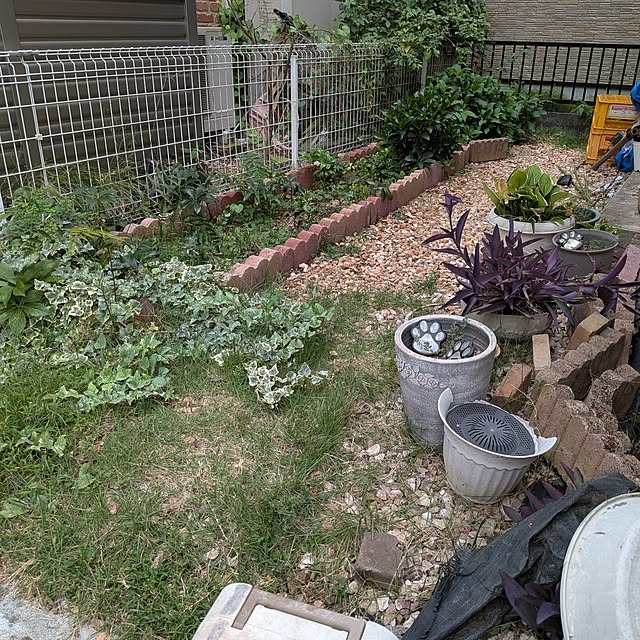 chi_gogaさんの部屋