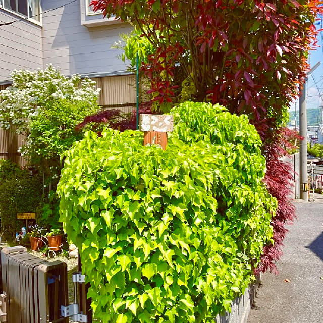takakoさんの実例写真