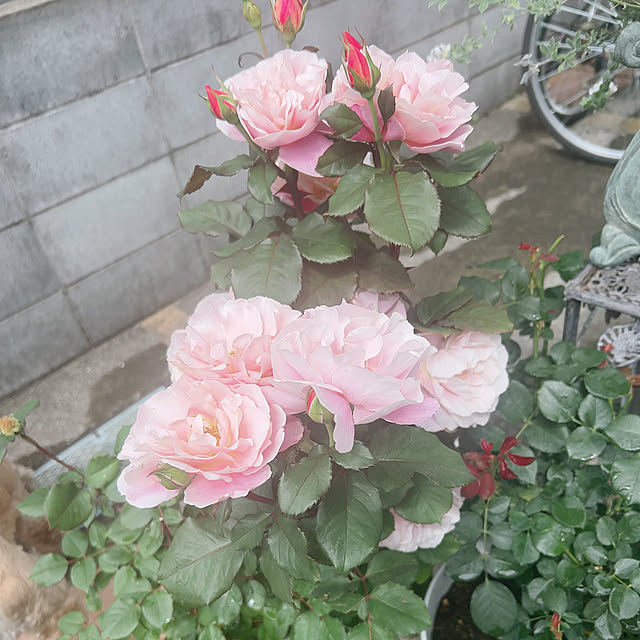 leonさんの部屋