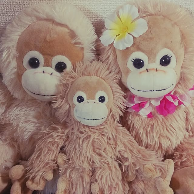 chayさんの実例写真