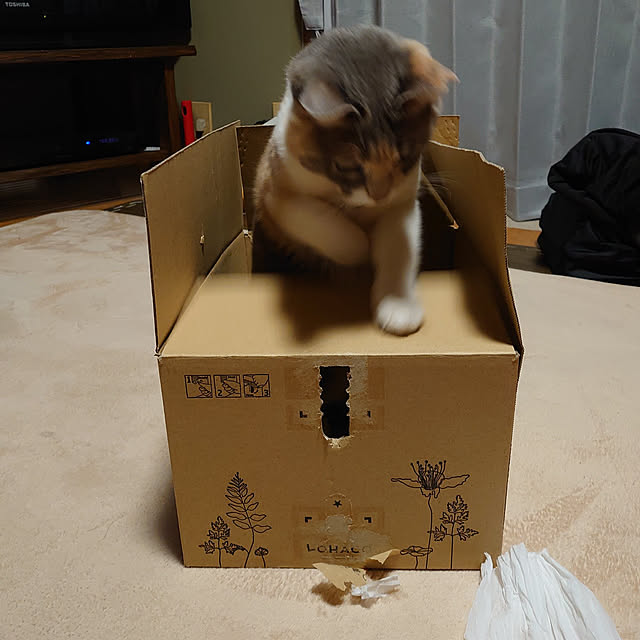 fukuさんの実例写真