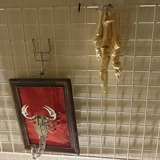 virgoさんの実例写真