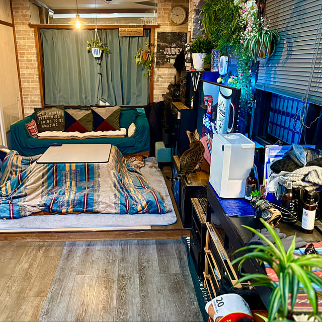 tututu0204さんの部屋