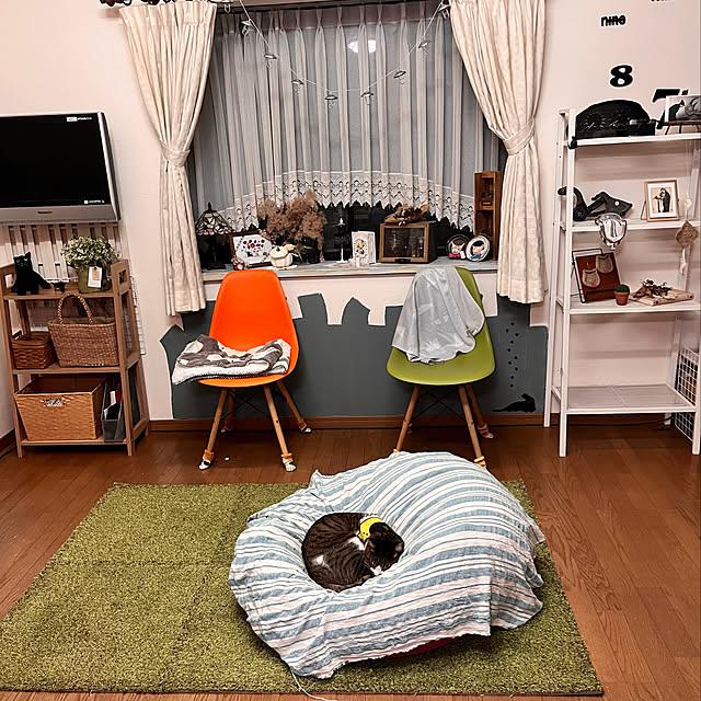 jijiさんの実例写真