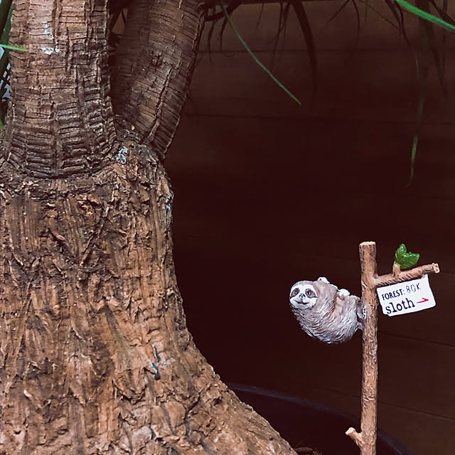 chacoさんの実例写真