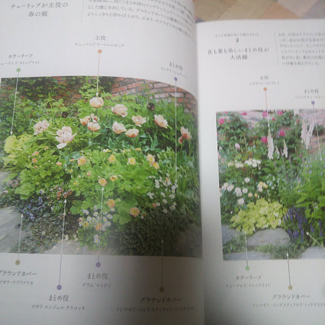 kiraさんの実例写真