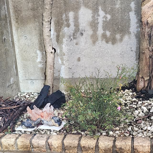 hossikouchouさんの実例写真