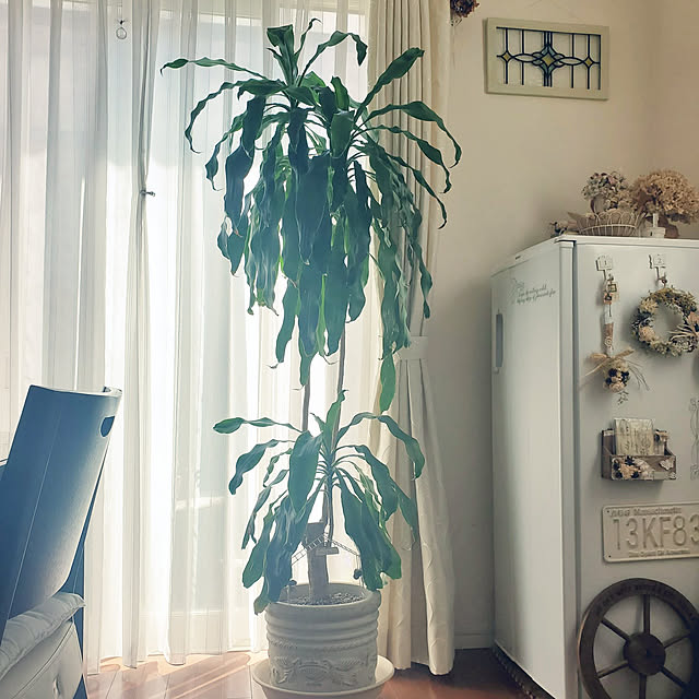 LEAFさんの実例写真