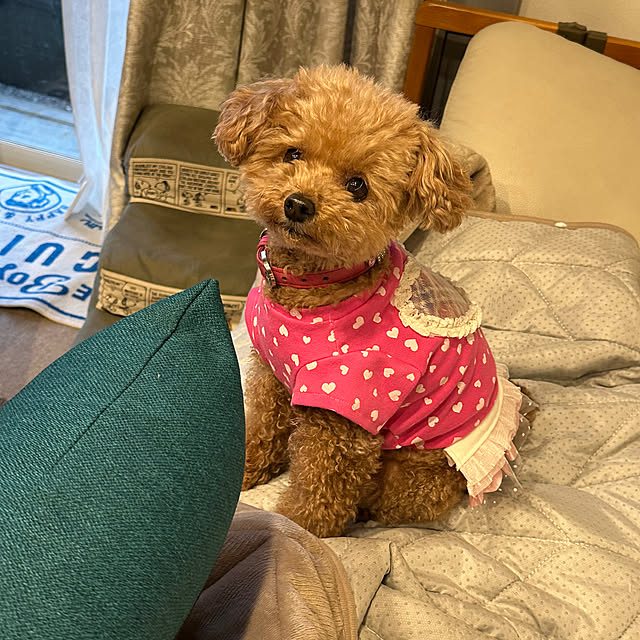 monacaさんの部屋