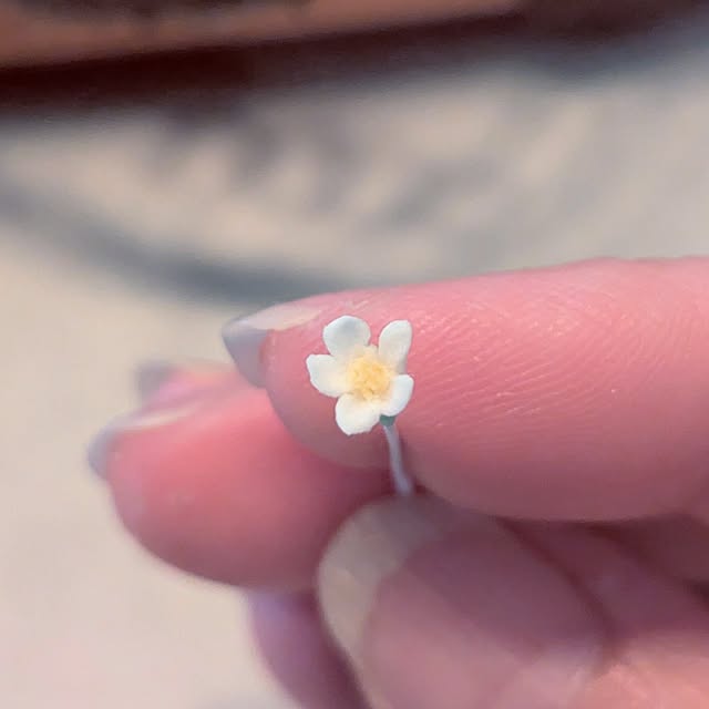 noahさんの部屋