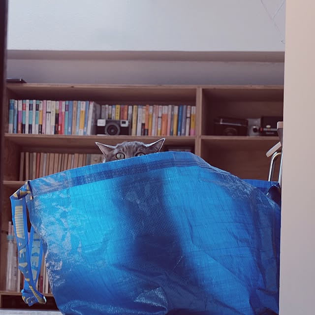 akaneさんの実例写真