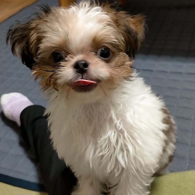 maryさんの実例写真
