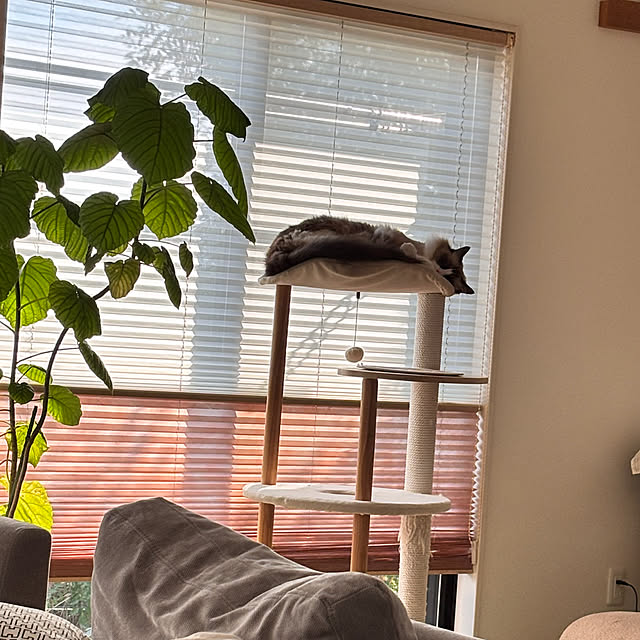 sonsan_famさんの実例写真