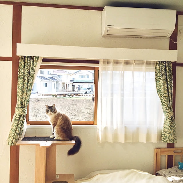 masyacanonさんの実例写真