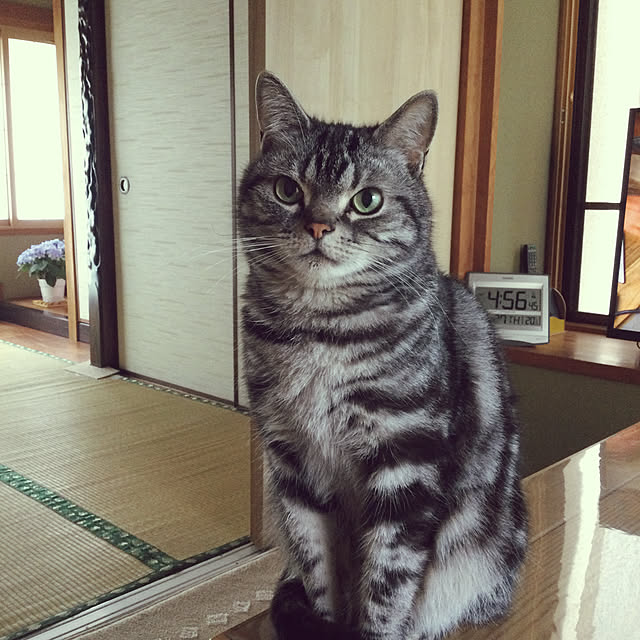 richanさんの実例写真