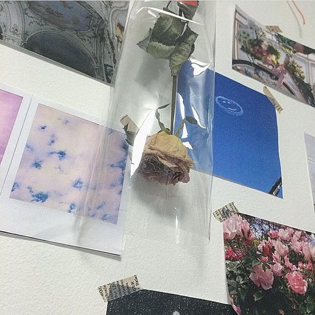 Mioさんの実例写真