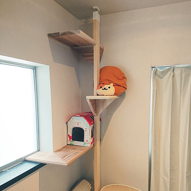 tetora0505さんの実例写真
