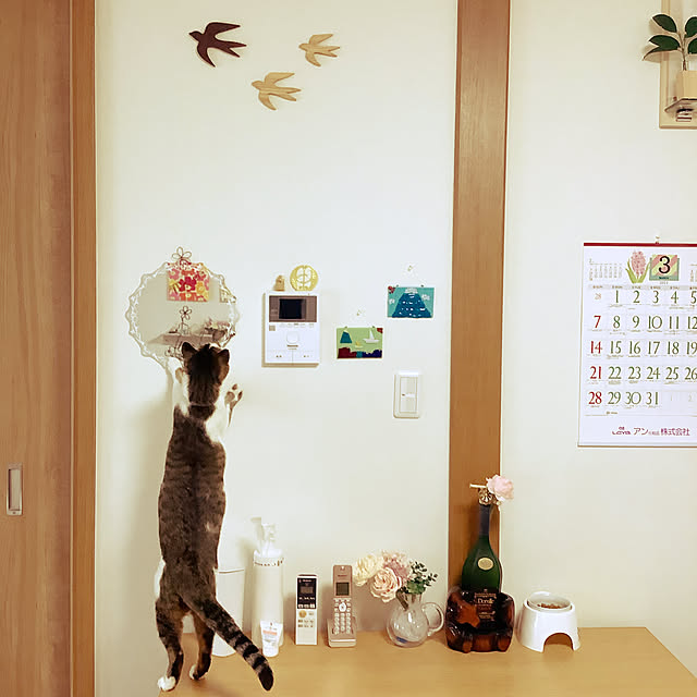 haruminさんの実例写真