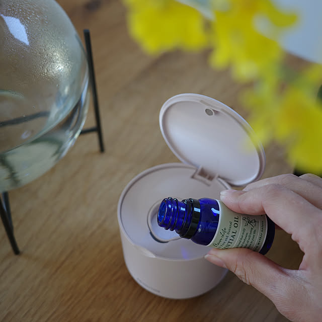 ______tnoieさんの実例写真