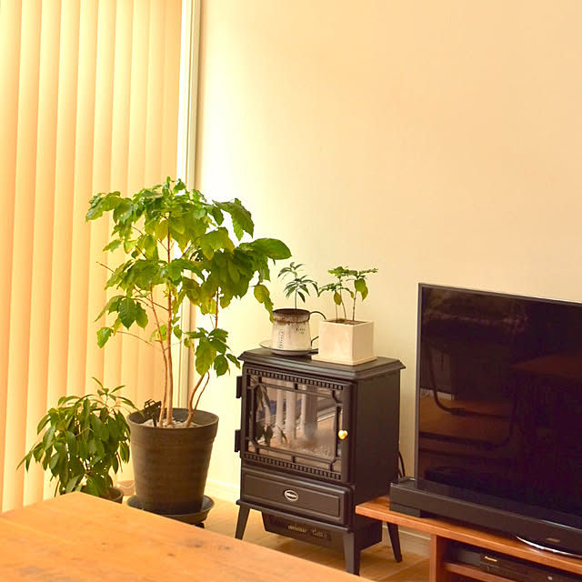 mikigumaさんの部屋