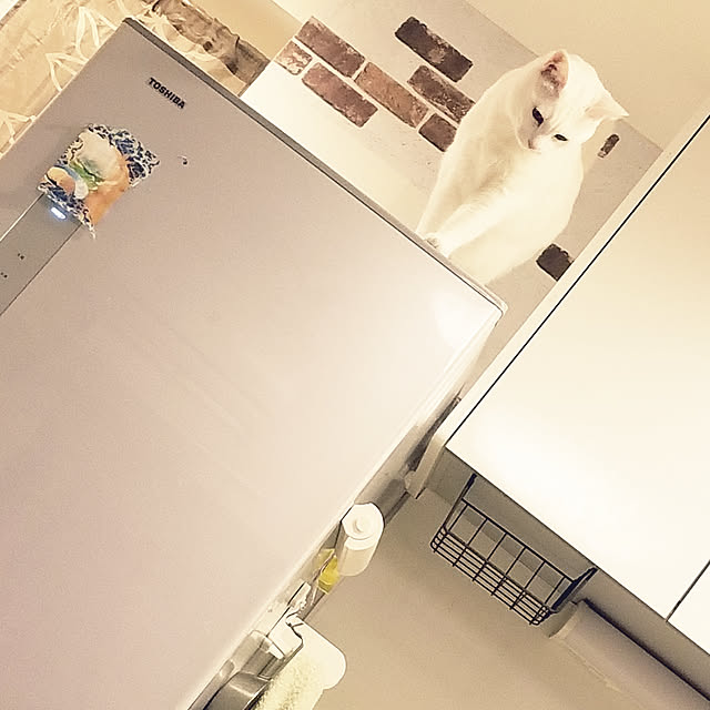 keikomokonさんの実例写真