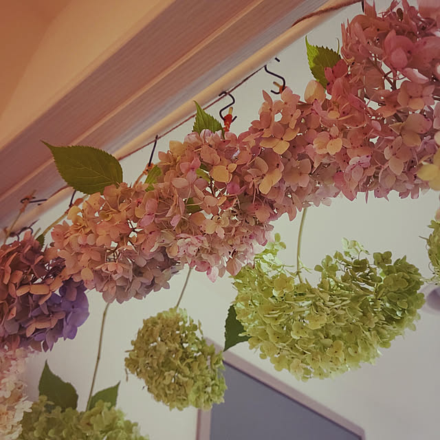ruby0707さんの実例写真