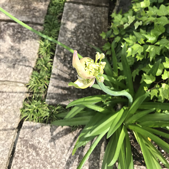 a-minさんの実例写真