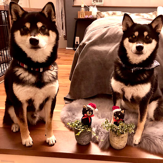 nuruiさんの実例写真