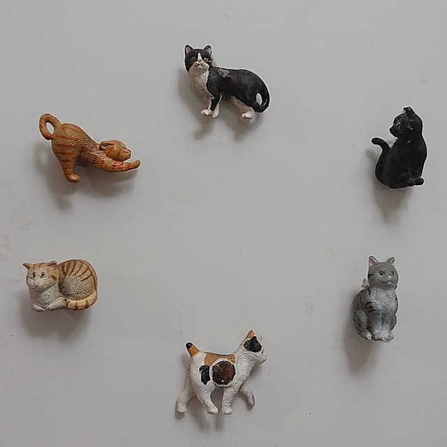 NOAHさんの実例写真