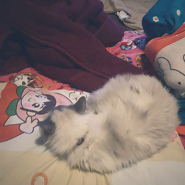 gesutyさんの実例写真