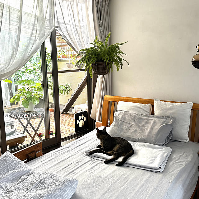 greycatsさんの部屋