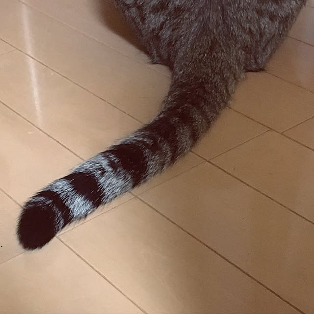 baronkotarouさんの実例写真