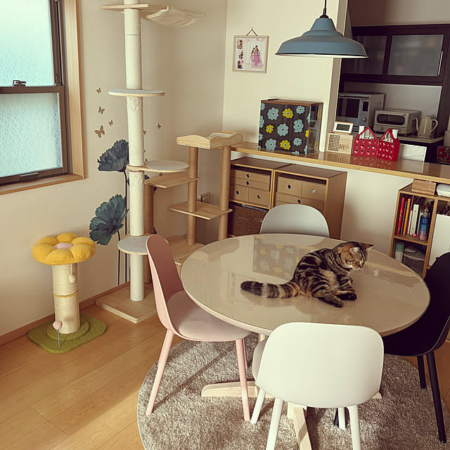 chiiさんの実例写真