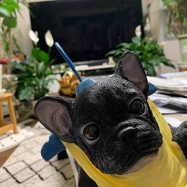 Aqettyさんの実例写真