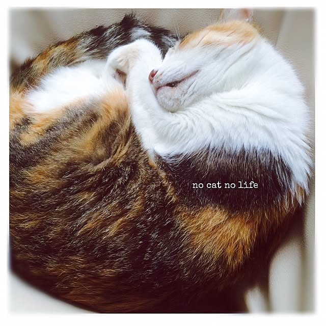 manatomoさんの実例写真
